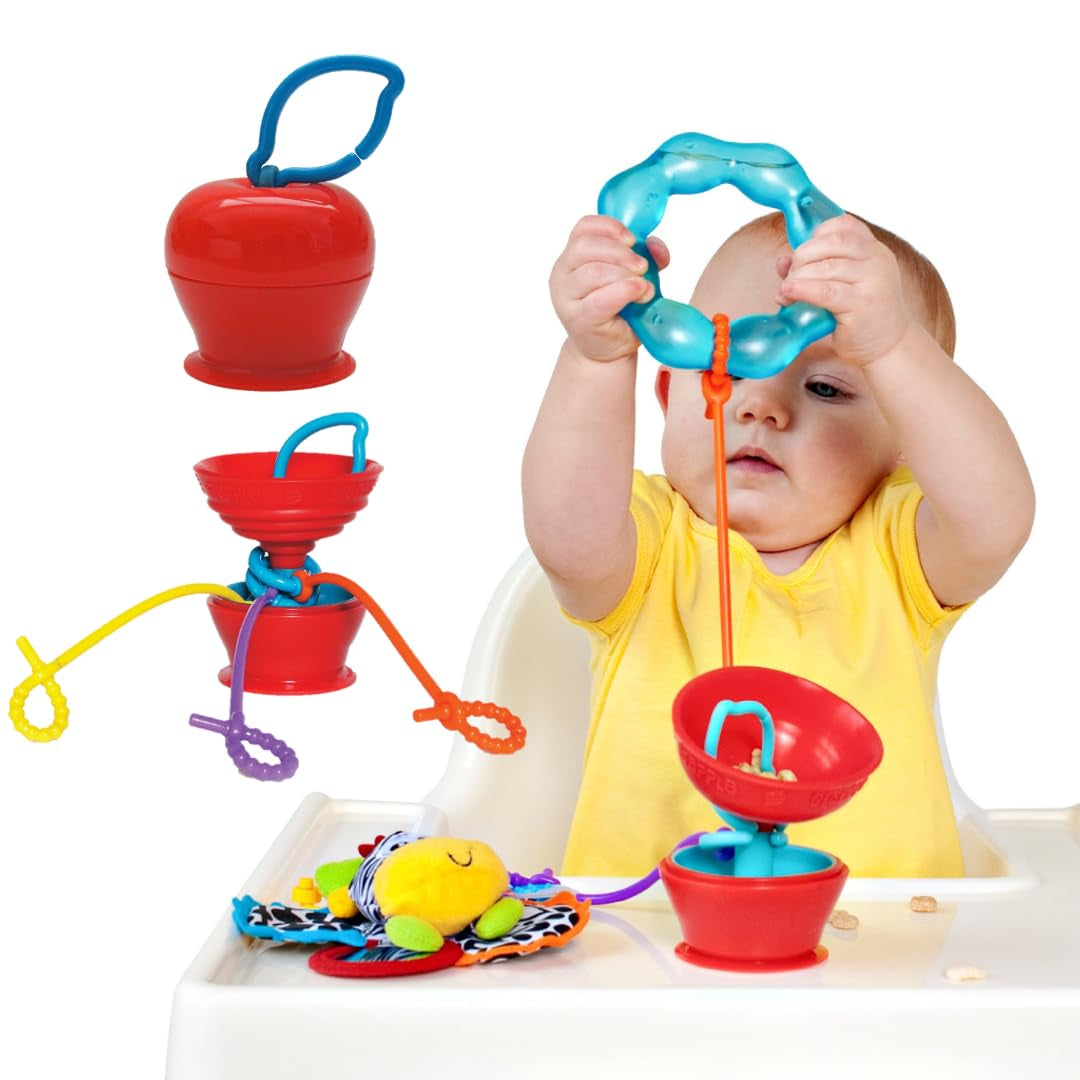 Suction Cup Toys Holder