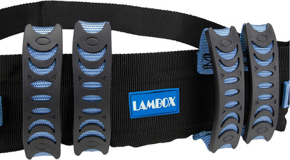 Transfer Gait Belt 