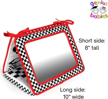 Double Sided Reversible Pediatric Mirror