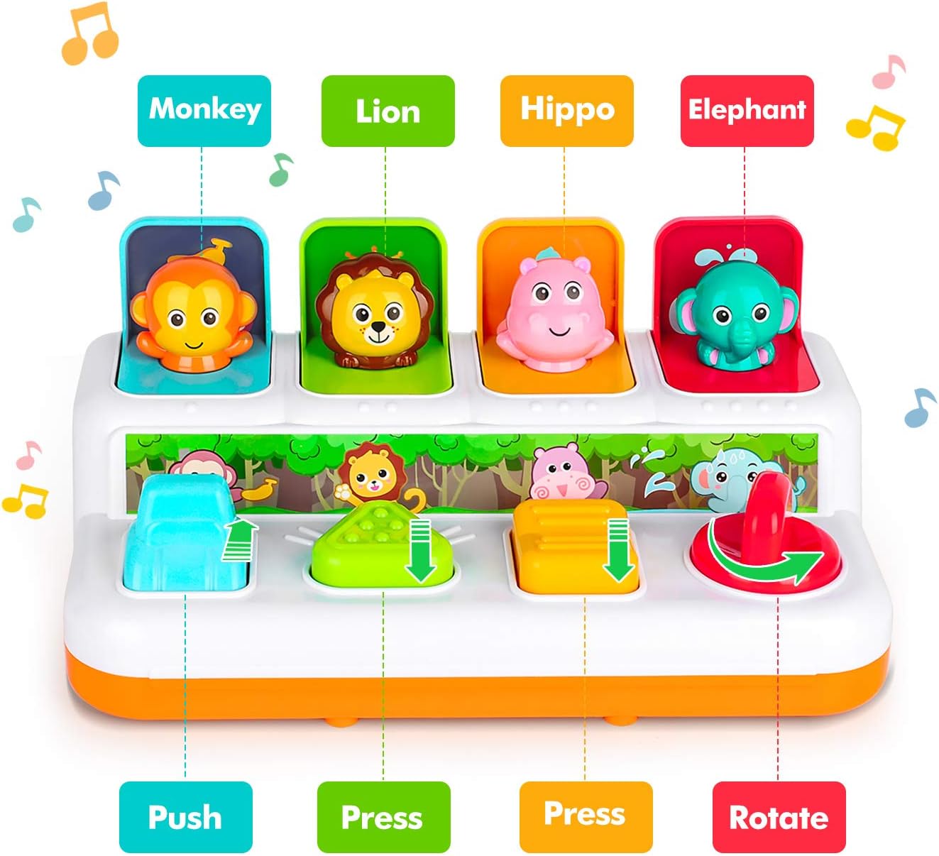  Musical Pop Up Toy for Toddlers 